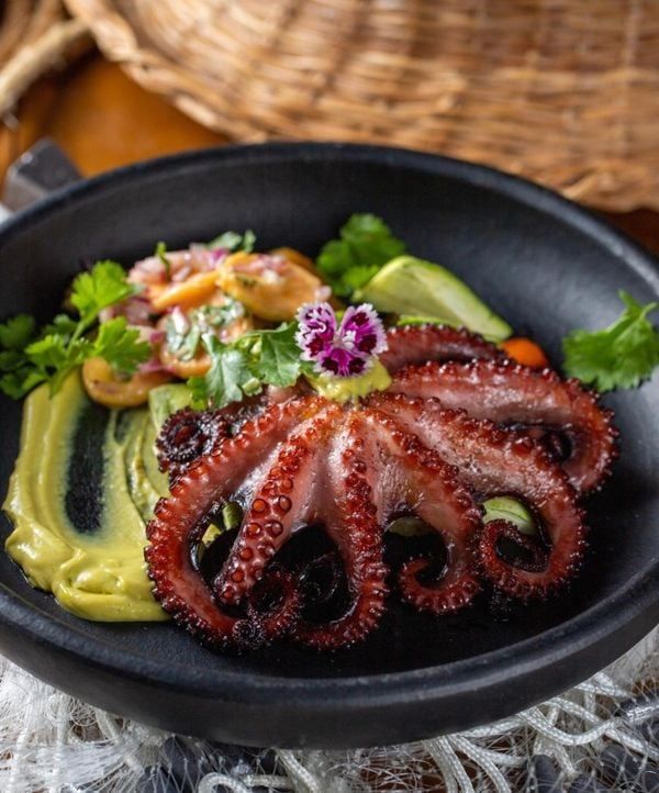 Polvo na brasa com legumes assados e maionese de abacate